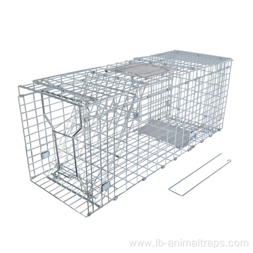 Collapsible Live Animal Trap Catch